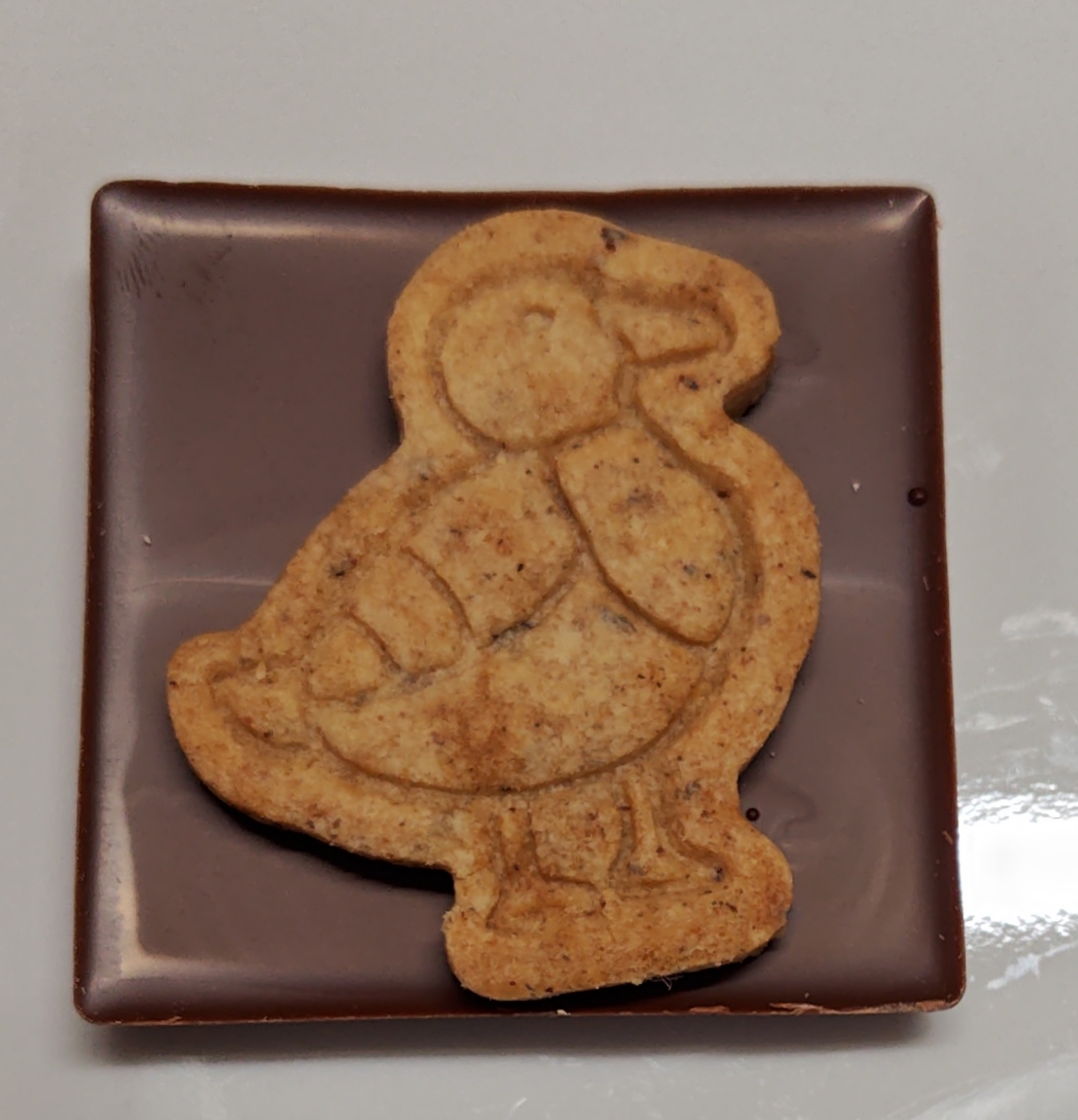 アムール・デュ・ショコラ 名古屋 teal ボンボンショコラ カモのタブレットショコラ