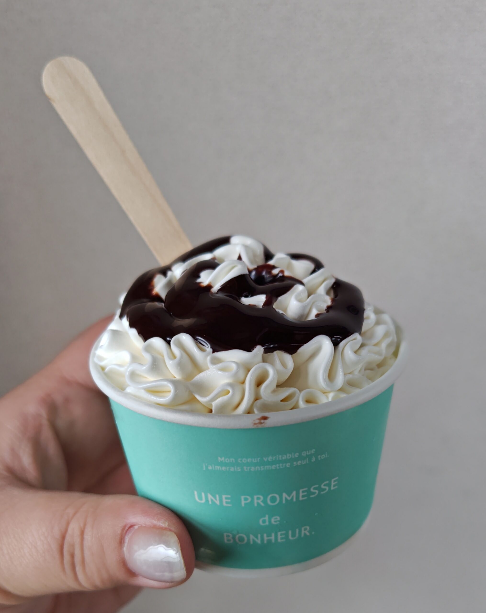 パワーランド 安城 アイスクリーム チョコソース